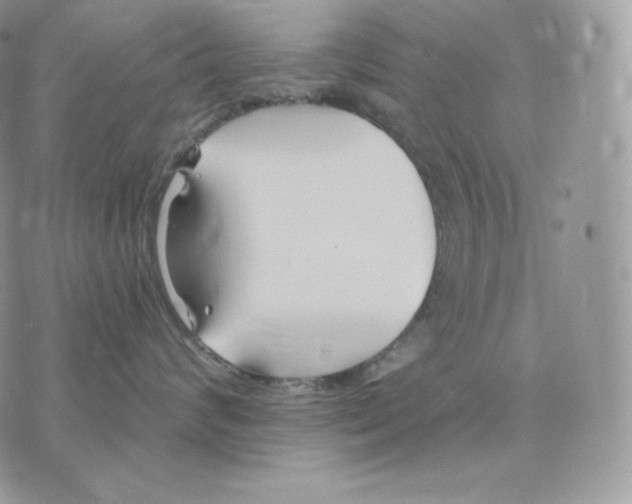 X0000075410624200609291708