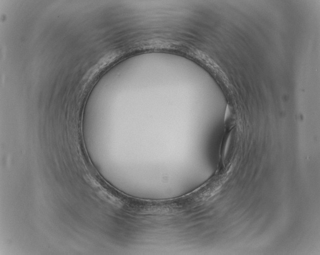 X0000075410625200609291707