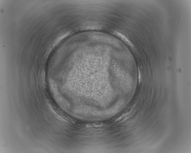 X0000075410627200609291707