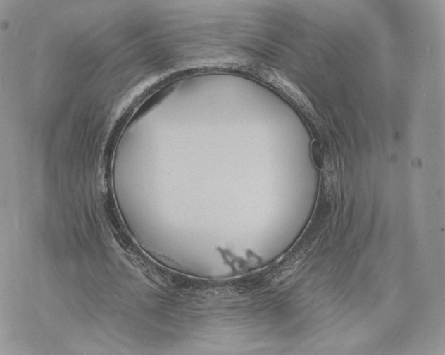 X0000075410628200609291707