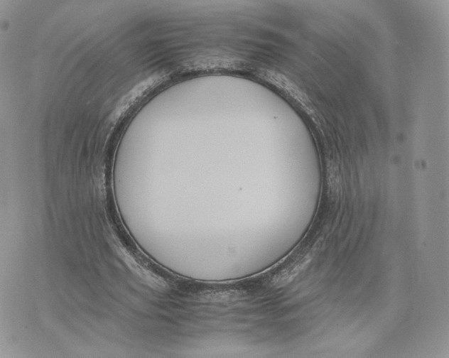 X0000075410629200609291707