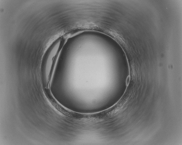 X0000075410630200609291707