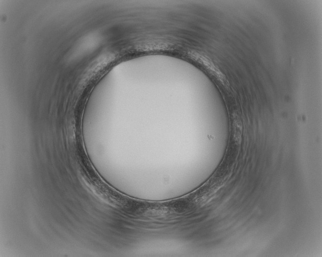 X0000075410631200609291707