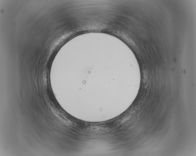 X0000075410632200609291707