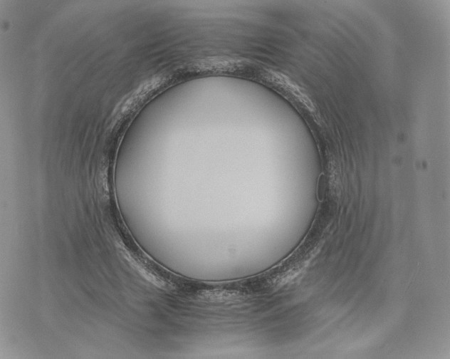 X0000075410633200609291707