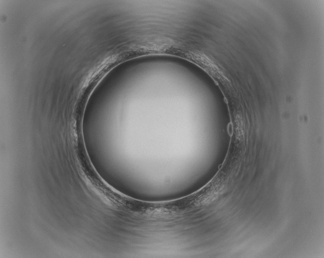 X0000075410634200609291707