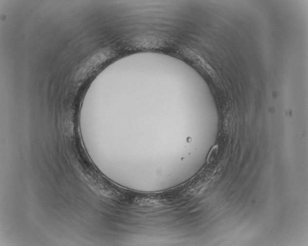 X0000075410635200609291707