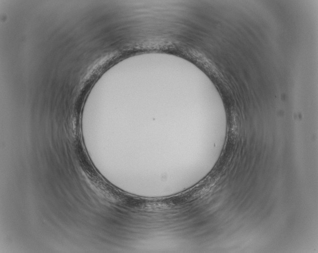 X0000075410636200609291707