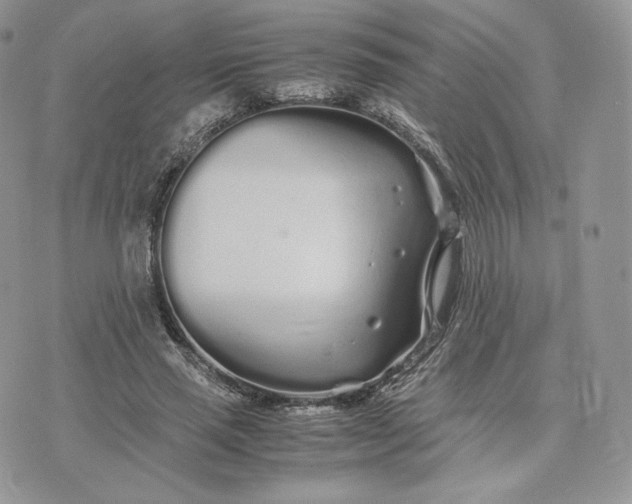 X0000075410637200609291707