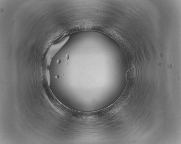 X0000075410638200609291707