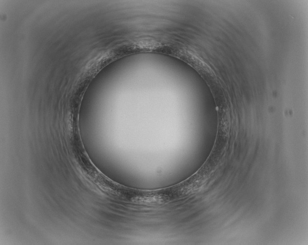 X0000075410639200609291707