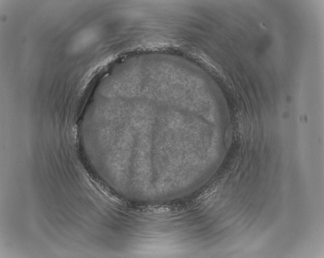 X0000075410640200609291707