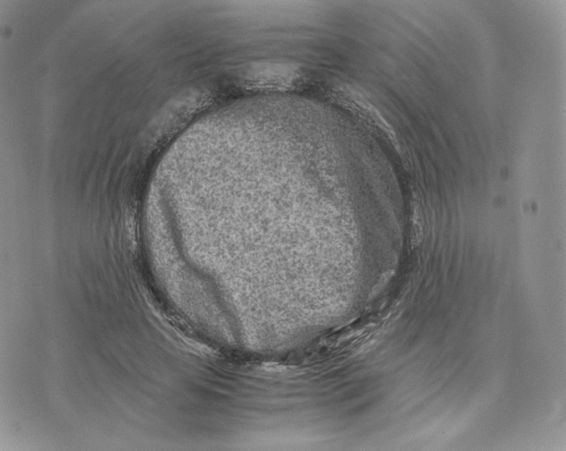 X0000075410641200609291707