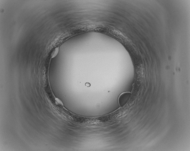 X0000075410642200609291707