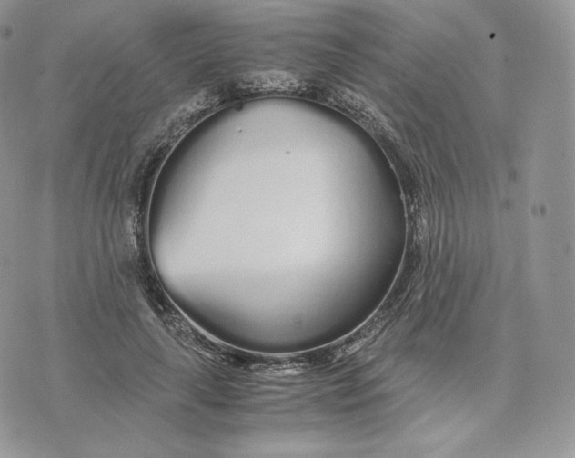 X0000075410643200609291707