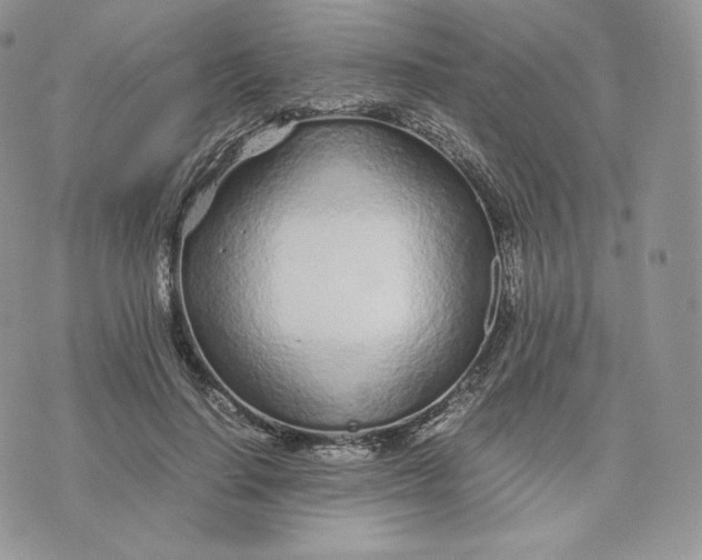 X0000075410644200609291707