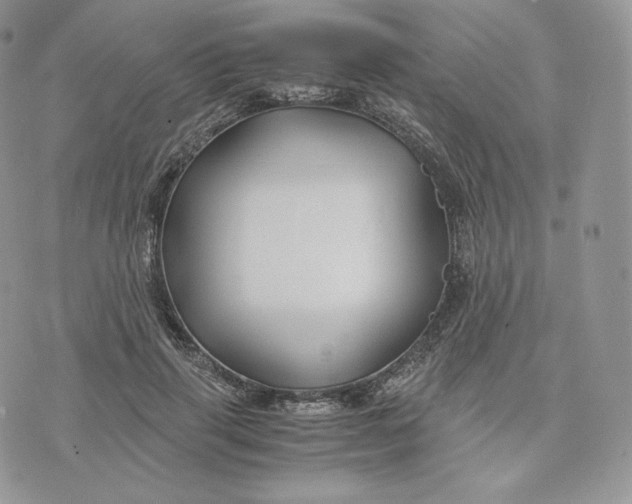 X0000075410645200609291707