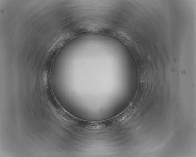 X0000075410646200609291707