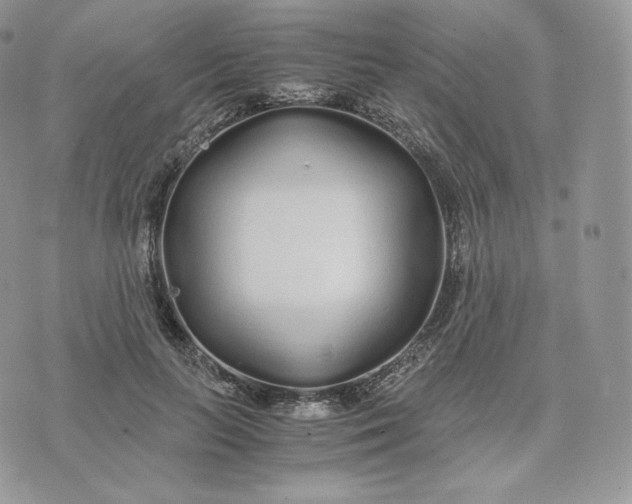 X0000075410647200609291707