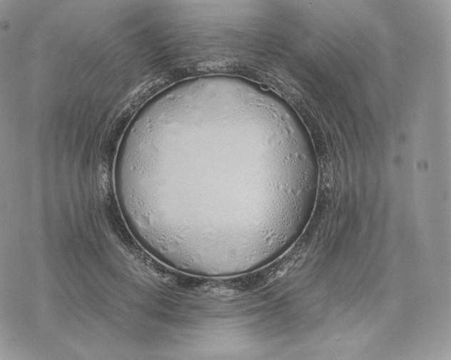 X0000075410648200609291707