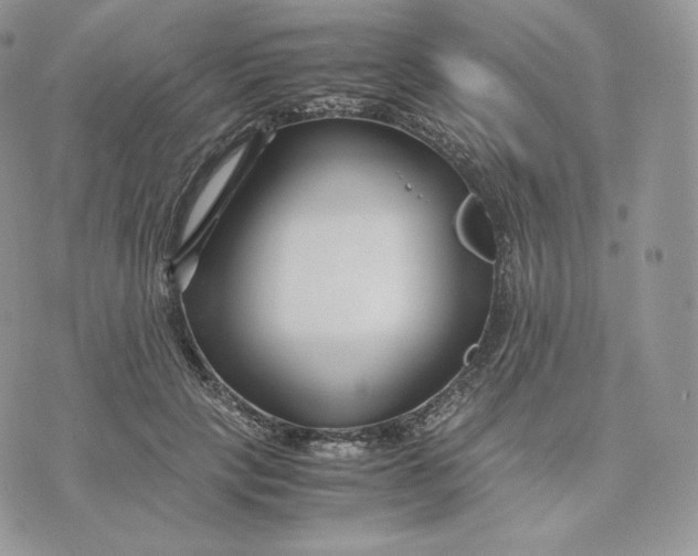 X0000075410649200609291707