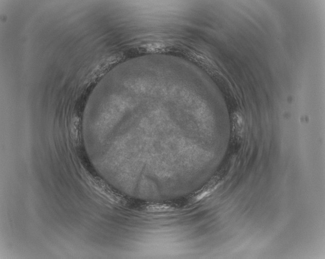 X0000075410650200609291707