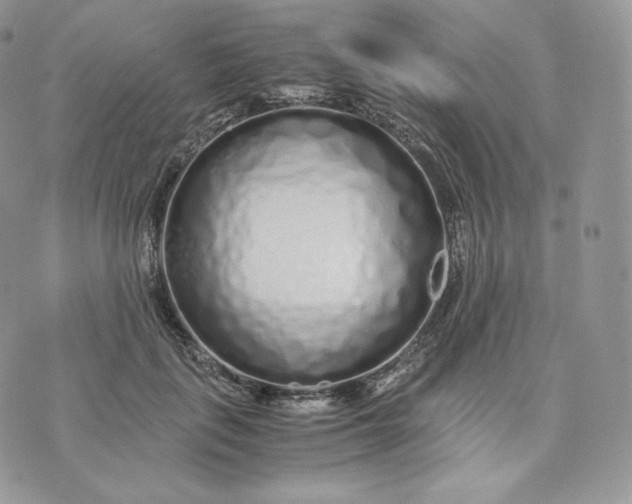 X0000075410651200609291707