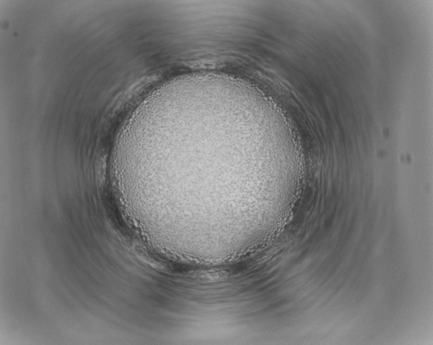 X0000075410652200609291707