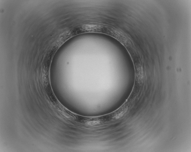 X0000075410653200609291707