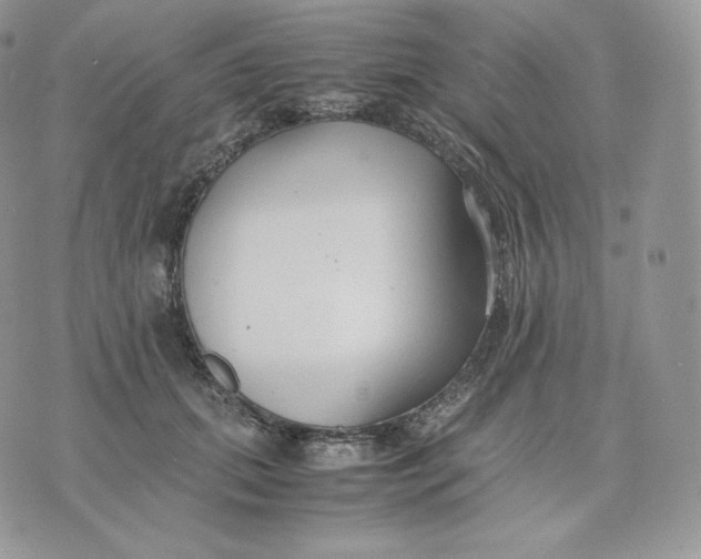 X0000075410655200609291707