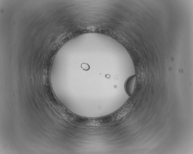 X0000075410656200609291707