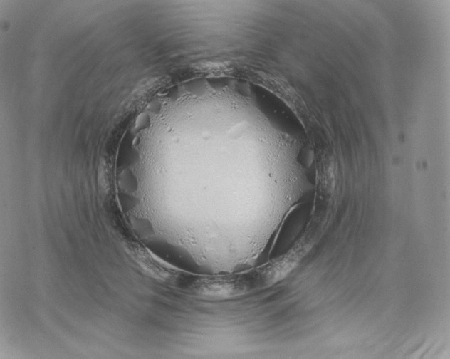 X0000075410658200609291707