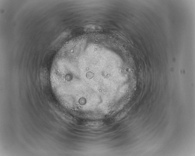 X0000075410659200609291707