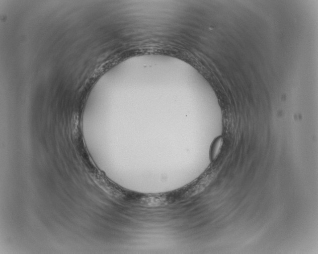 X0000075410660200609291707