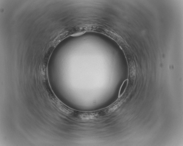 X0000075410661200609291707