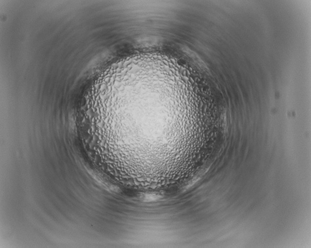 X0000075410662200609291707