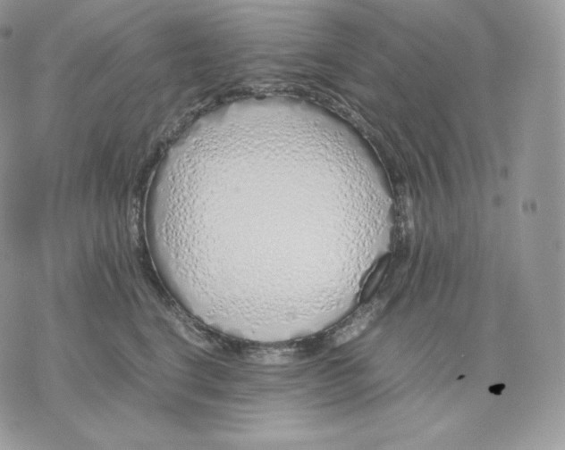 X0000075410664200609291707