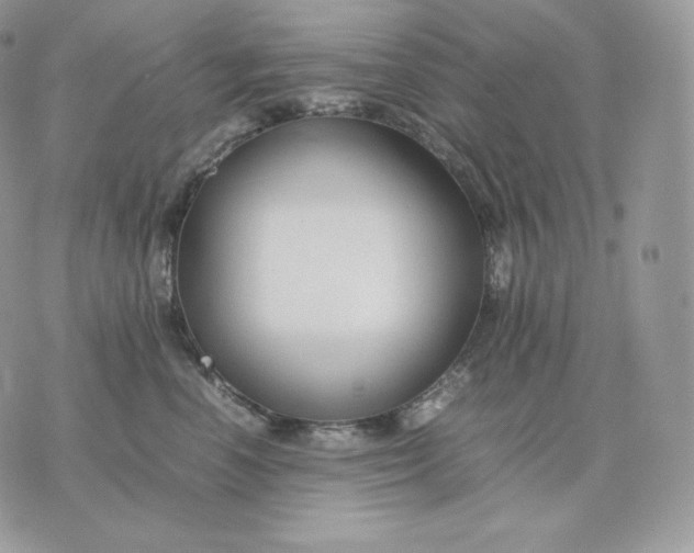 X0000075410666200609291707