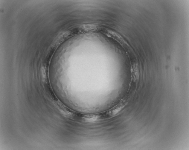 X0000075410667200609291707