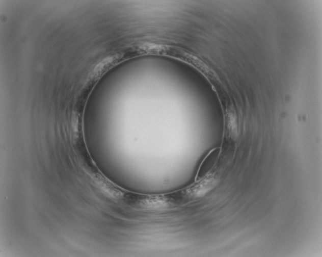 X0000075410668200609291707