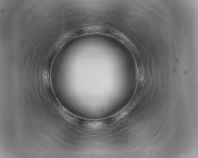 X0000075410669200609291707