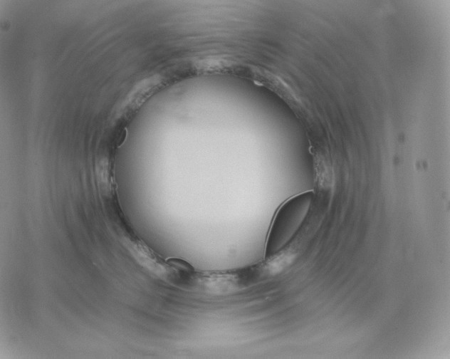 X0000075410670200609291708