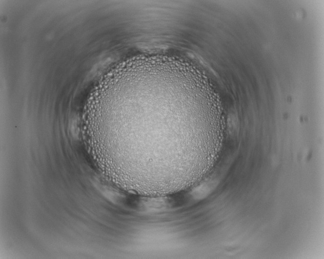 X0000075410671200609291708