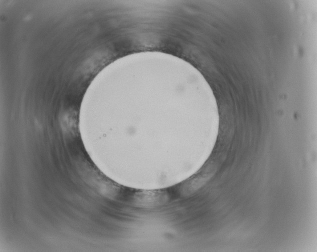 X0000075410672200609291708