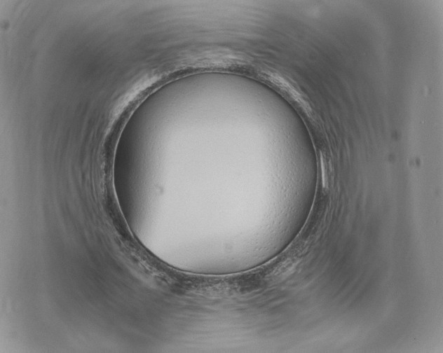 X0000075410675200609291707