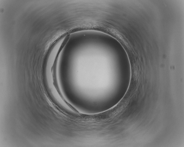 X0000075410677200609291707