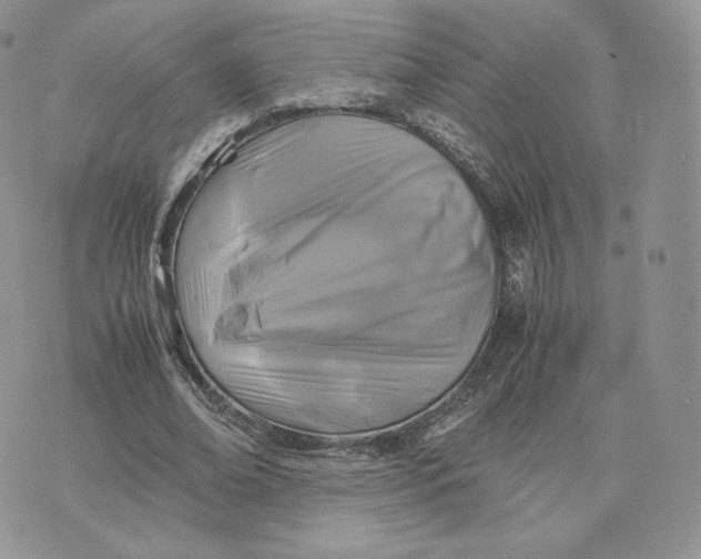 X0000075410678200609291707