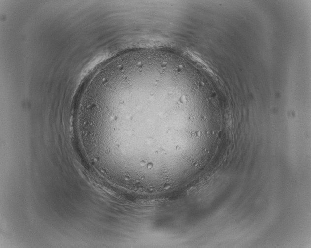 X0000075410679200609291707