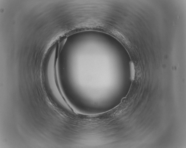 X0000075410680200609291707