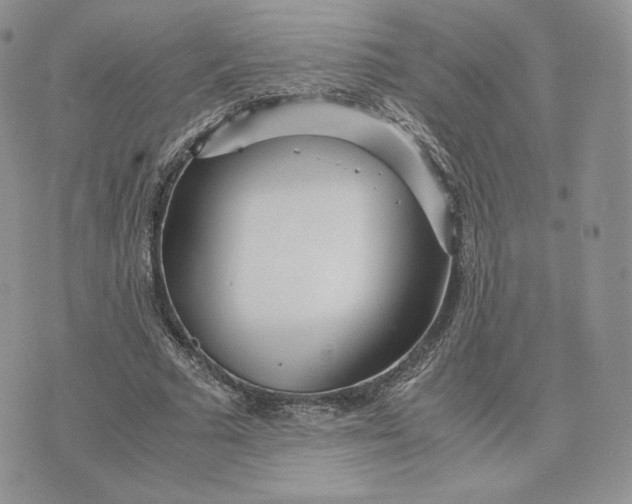 X0000075410681200609291707